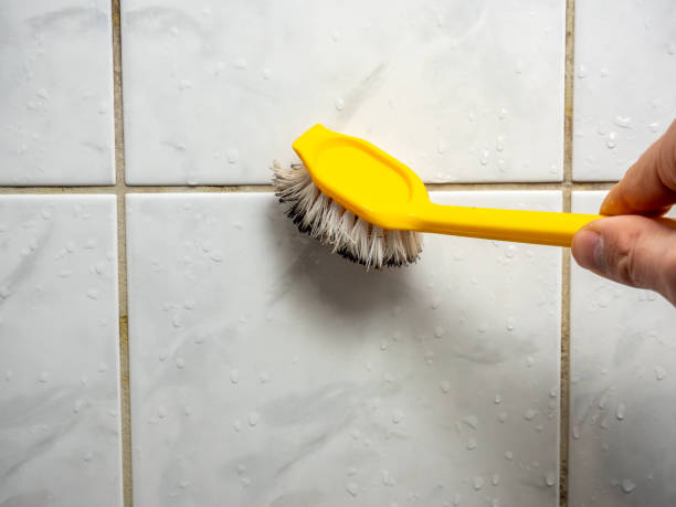 Best DIY Mold Remediation Support Services in Ballenger Creek, MD