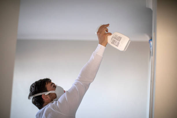 Best Post-Flood Mold Remediation in Ballenger Creek, MD